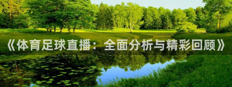 《体育足球直播：全面分析与精彩回顾》