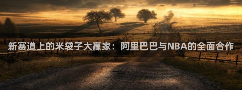 新赛道上的米袋子大赢家：阿里巴巴与NBA的全面合作