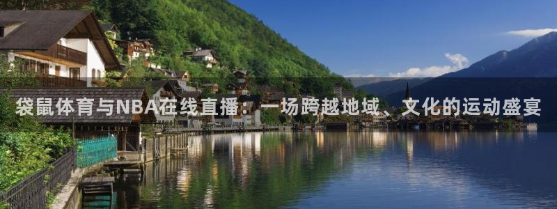 袋鼠体育与NBA在线直播：一场跨越地域、文化的运动盛宴