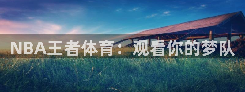 NBA王者体育：观看你的梦队