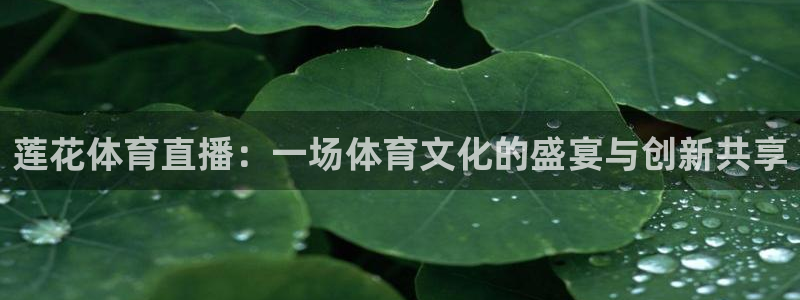莲花体育直播：一场体育文化的盛宴与创新共享