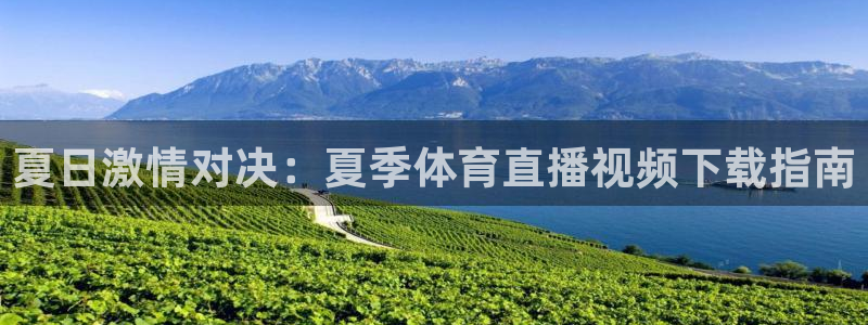 夏日激情对决：夏季体育直播视频下载指南