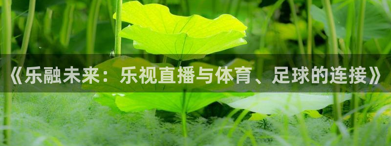 《乐融未来：乐视直播与体育、足球的连接》