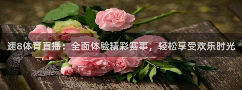 速8体育直播：全面体验精彩赛事，轻松享受欢乐时光
