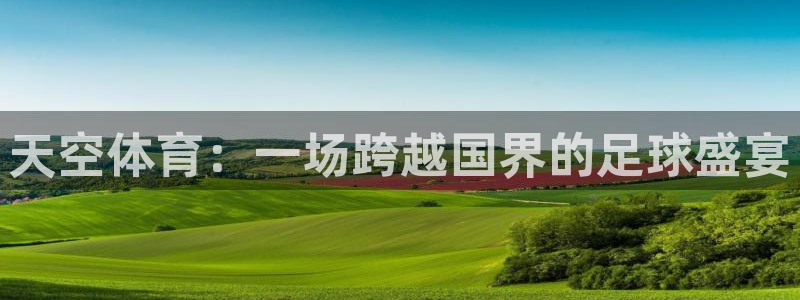 天空体育：一场跨越国界的足球盛宴